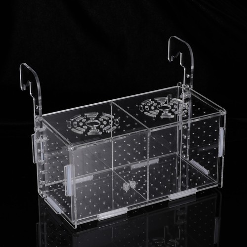 Boîte élevage pour - boîte, d'élevage