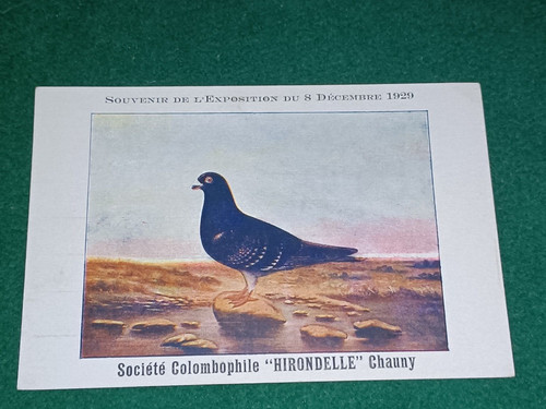 Old postcard société - postcard,