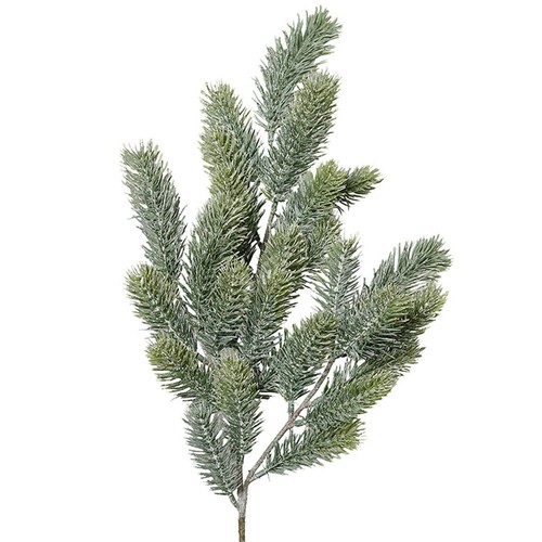 Branche sapin noel - de,