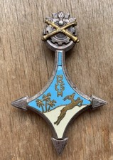 Drago Ancien Insigne 12°