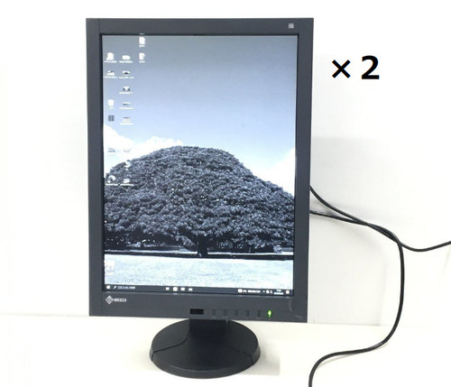 Moniteur lcd eizo radiforce - moniteur,