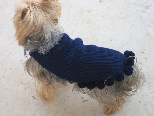 Vêtement chiot chien manteau - vêtement, chiot/chien-manteau