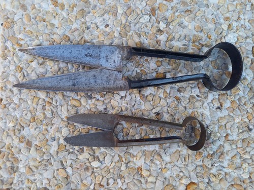 Lot forces ciseaux - 2, pour
