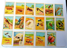 lot de 17 images chromos