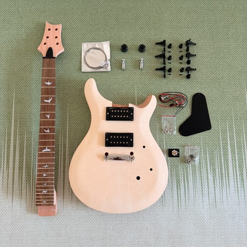 Diy string prs - 6-string, electric