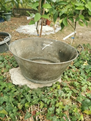 Bassine zinc panier plants - À,