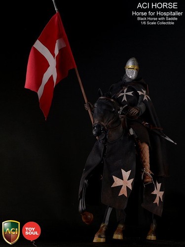 Cavaliere templare 6 - cavaliere,