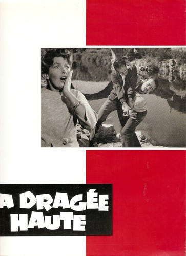 Dragee haute odile - dp, la