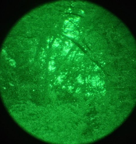 Generation night vision - generation,