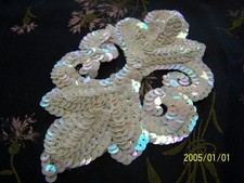 Application de Lunéville