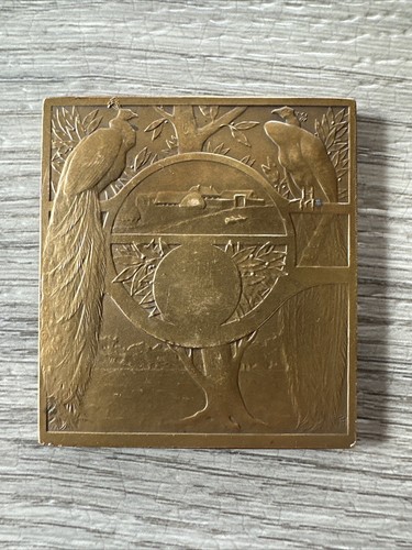 Rare plaque medaille ancienne