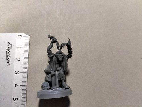 Chaman gobelin figurine - ,