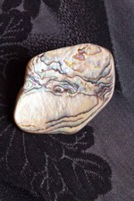 Broche Vintage En Nacre