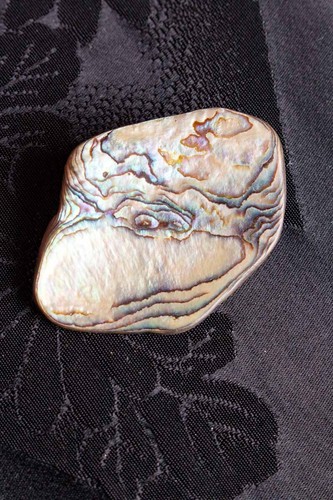Broche vintage nacre - en,