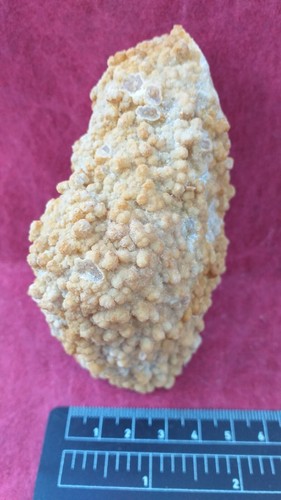 Quartz crapaud calcedoine - calcedoine,