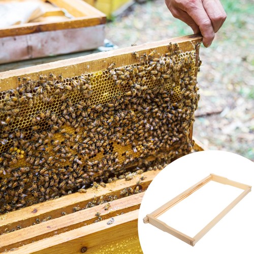 Matériel pour apiculture - ,
