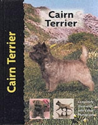 Cairn terrier dog - terrier, (dog