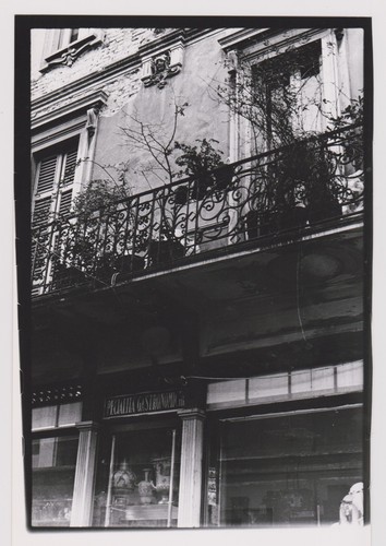 Antique photo - photo, 🎞️