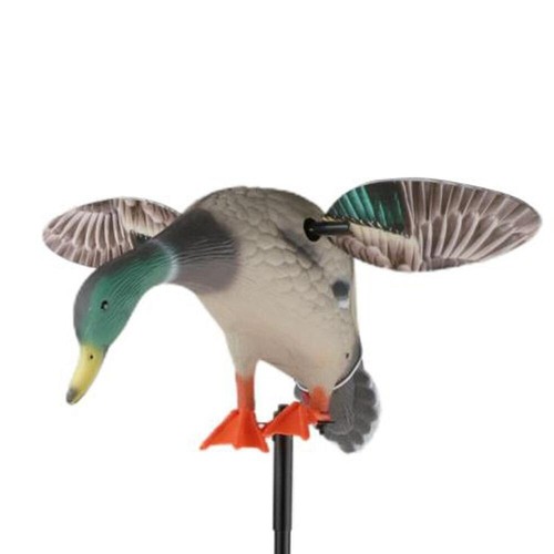 Appelant canard ailes - canard,