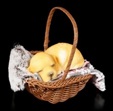 Labrador Retriever Goldie Chiot Chiens Figurine Dormant Dans Panier Déco Eleveur