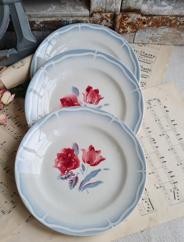 Anciennes assiettes plates - 3,