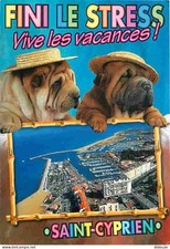 Animaux - Chiens - Sharpei - Saint Cyprien Plage - Vue aérienne du Port - CPM -