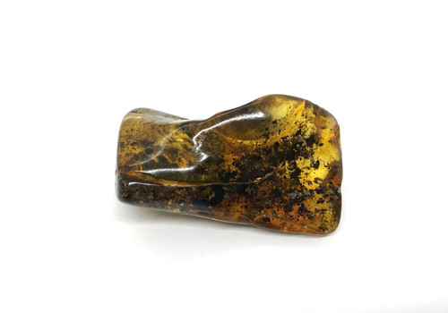 Pièce ambre insecte fossile - d'ambre,