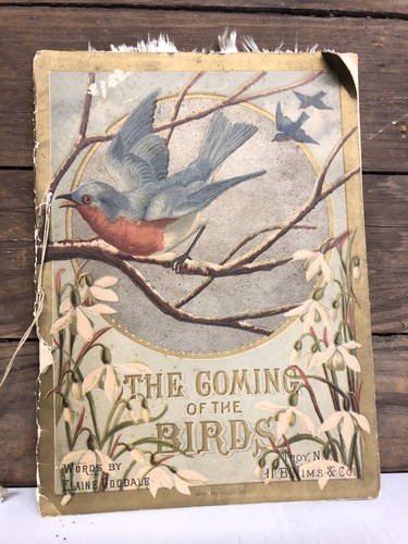 1884 original the coming of - original,
