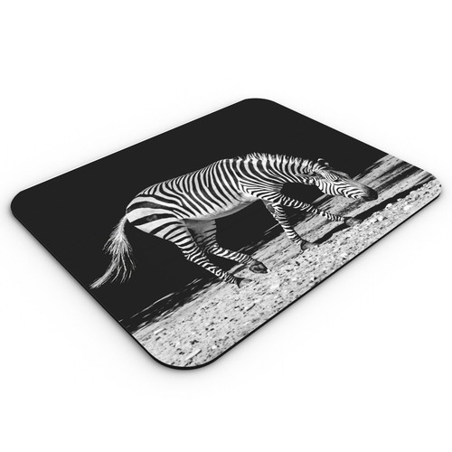 Tapis souris zèbre photo - tapis,