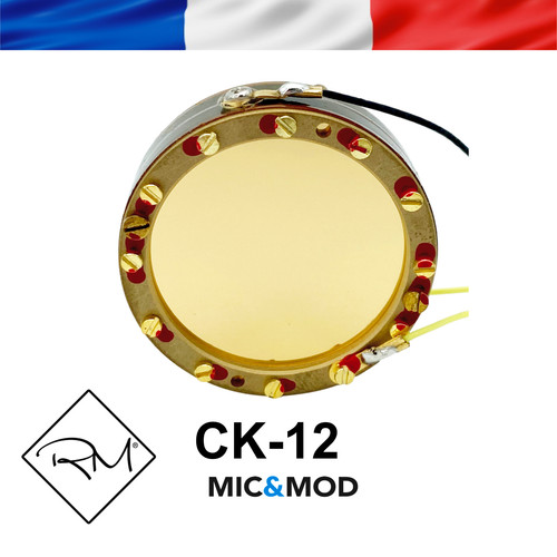 Replica microphone capsule - replica,