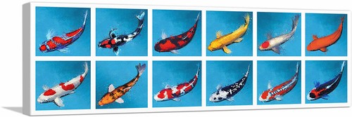 Artcanvas koi carp - fish, bekko