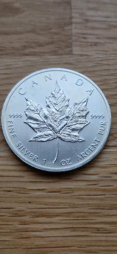 Silver maple leaf - 1, 2012