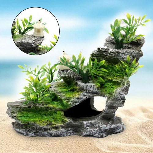 Aquarium décoration montagne