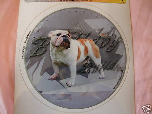 Autocollant motif chien - 1,