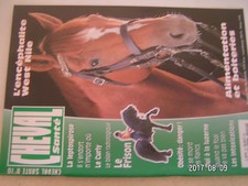 Cheval santé 10 curly - cheval, /