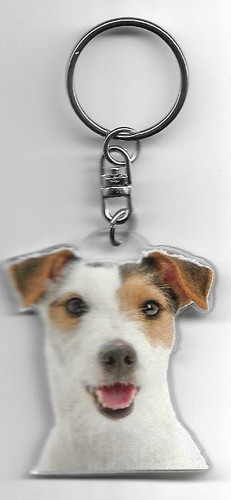 Jack russel chien porte - russel,