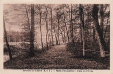 49 BAUGE FORET DE CHANDELAIS