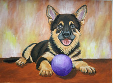 Portrait de chiot berger