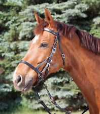Bitless Bridle Bride Sans