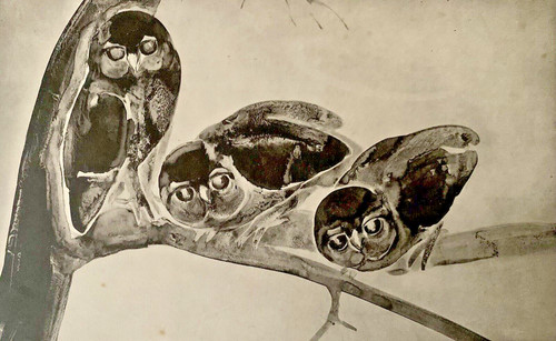 Tableau ancien estampe - , art