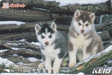 Carte JAPON - ANIMAL - CHIEN