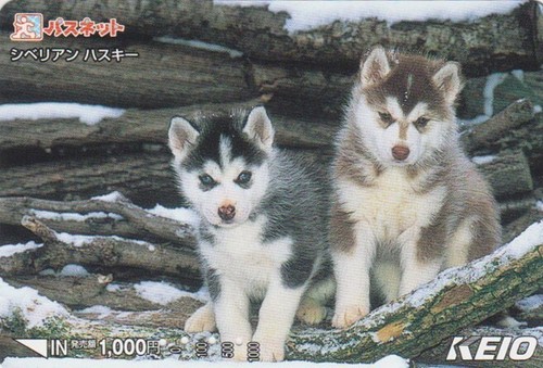 Carte japon animal - carte,
