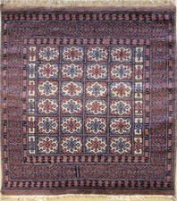 Rugstc 4x6 Caucasian Design