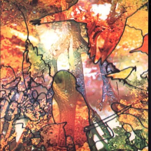 National forest kerrang vinyle - kerrang,