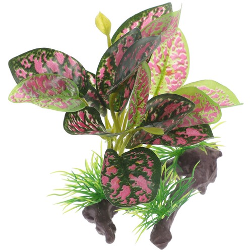 Décoration terrarium - de,