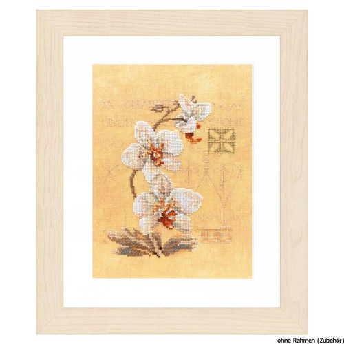 Set point croix lanarte - set,