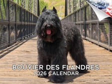 Bouvier Des Flandres Dog Breed Calendar 2026 12x18 Made in USA