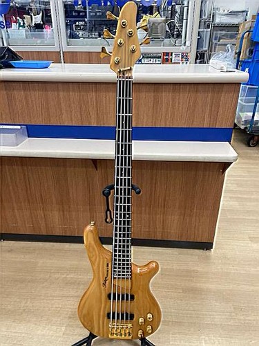 Guitare basse électrique