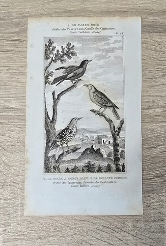 Orig gravure sur cuivre vers - orig.,
