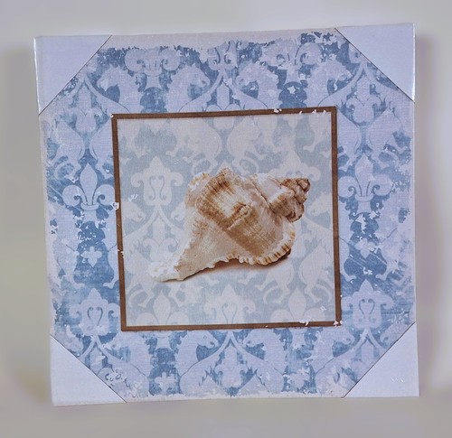 Tableau toile cadre - , coquillage